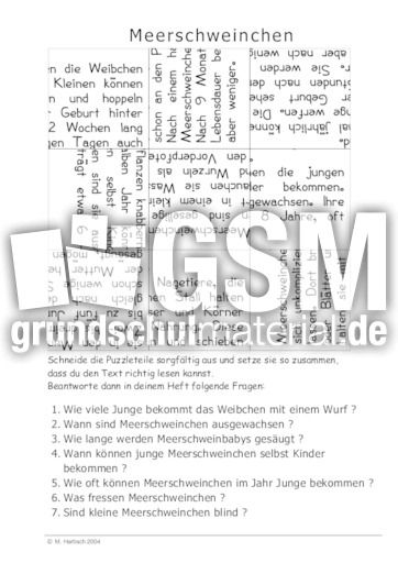 Meerschweinchen.pdf